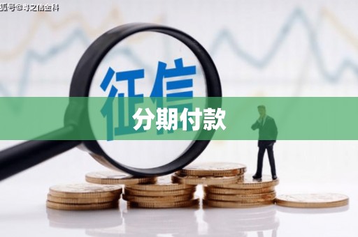 儋州分期付款