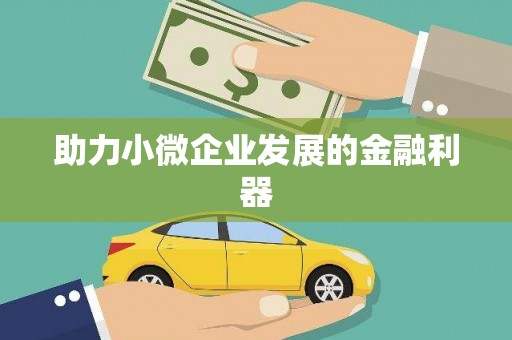 儋州助力小微企业发展的金融利器