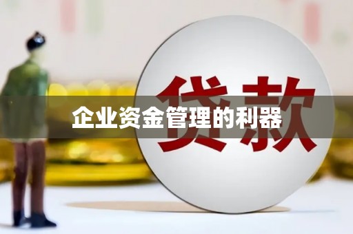 儋州企业资金管理的利器