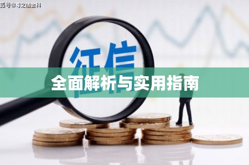 儋州全面解析与实用指南
