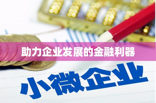 儋州助力企业发展的金融利器