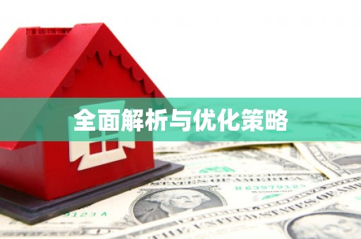 儋州全面解析与优化策略