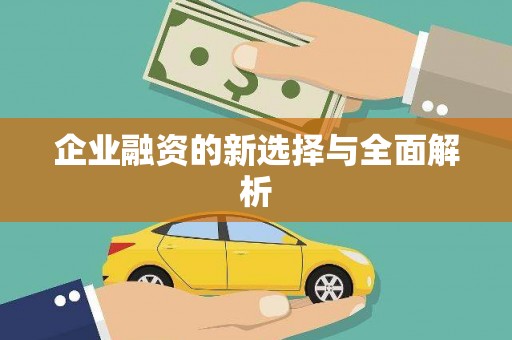 儋州企业融资的新选择与全面解析