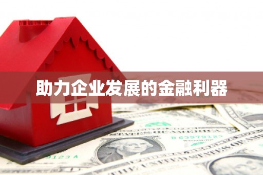 儋州助力企业发展的金融利器