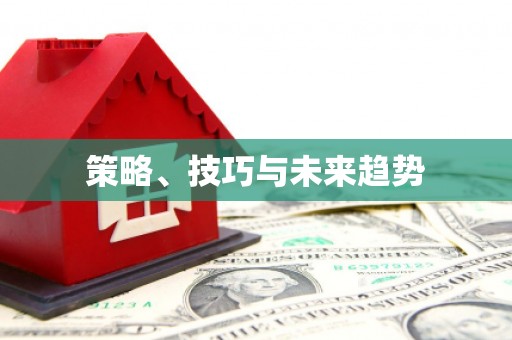 儋州策略、技巧与未来趋势