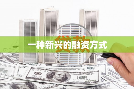 儋州一种新兴的融资方式