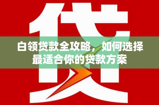 儋州白领贷款全攻略，如何选择最适合你的贷款方案