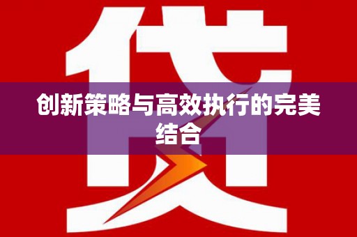 儋州创新策略与高效执行的完美结合