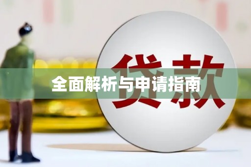 儋州全面解析与申请指南