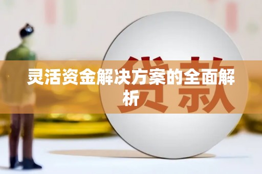 儋州灵活资金解决方案的全面解析