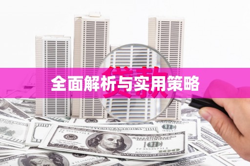 儋州全面解析与实用策略