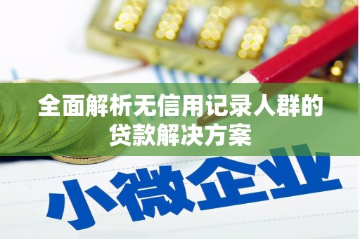 儋州全面解析无信用记录人群的贷款解决方案